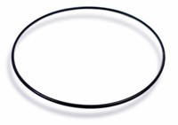 Dichtungsring Casio O-Ring Schwarz EF-131D EF-527 10327190