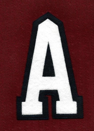 WASHINGTON CAPITALS ALTERNATE \