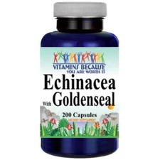 Echinacea and Goldenseal 450mg 200 Caps Echinacea angustifolia purpurea with