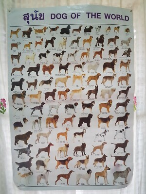 Dog Of The World Poster Ultimate Breed Educate Child Learning Home