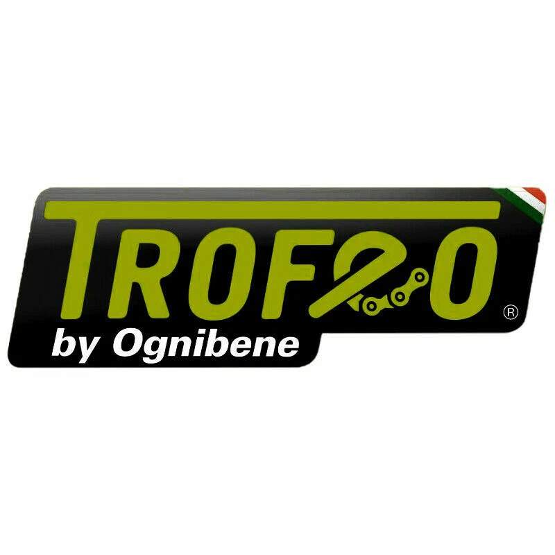 PASTIGLIE FRENO ANTERIORE TROFEO SINTERIZZATE BMW R 1200 R 2006 2007 2008 2009 - Immagine 4 di 4