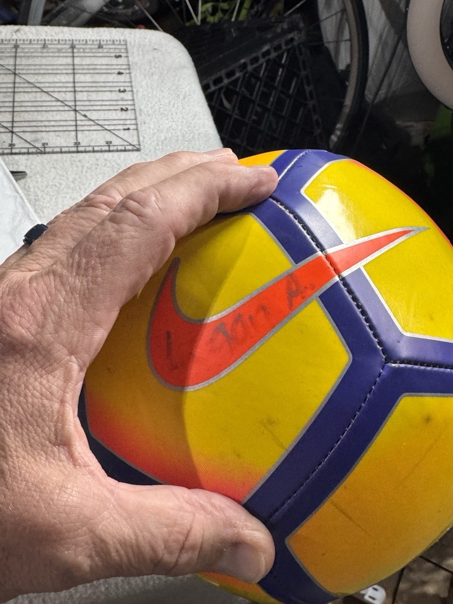 あしゅう　プレミアリーグ　16-17 サッカーボール Kemari87 KISHISPO / フィナーレ 24-25 フェーズ ミニ 公式試合