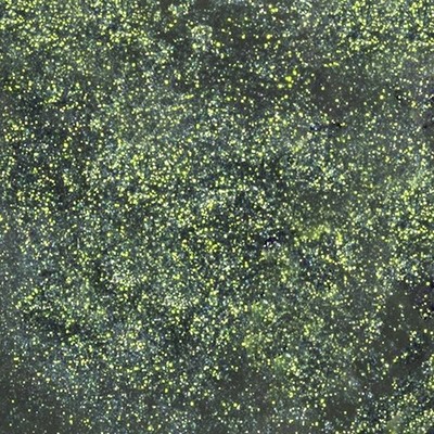 Enchanted Forest | Dragon Duochrome Mineral Pigment