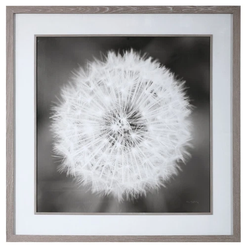 Uttermost Dandelion Seedhead Framed Print - Picture 1 of 1