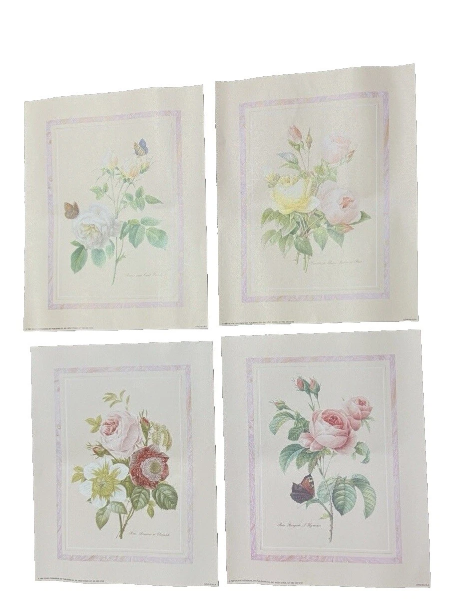 Lote impresiones artísticas botánico