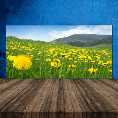 Crédence de cuisine en verre Panneau 120x60 Nature Sentier