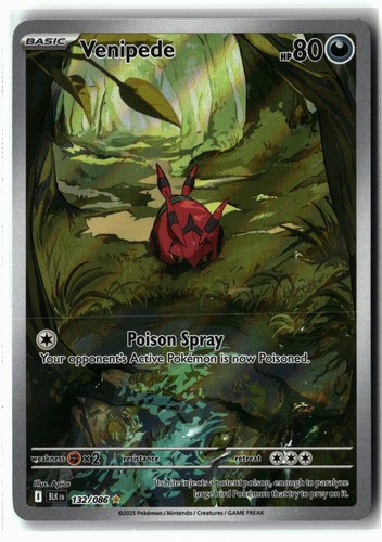 2025 Venipede ⭐️ 132/086 Holo Illustration Rare Black Bolt Pokemon NM