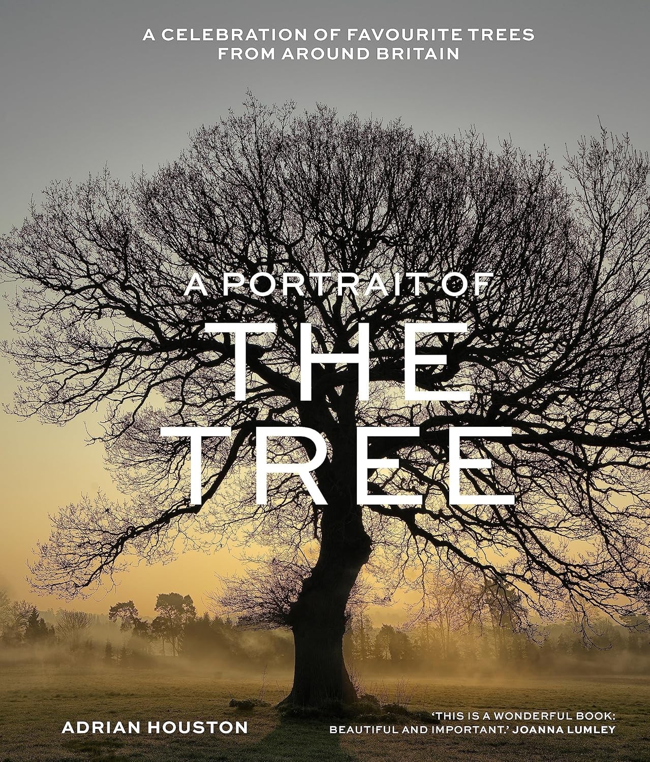 A Portrait of the Tree: A celebration of favourite trees from around Britain - Image 9