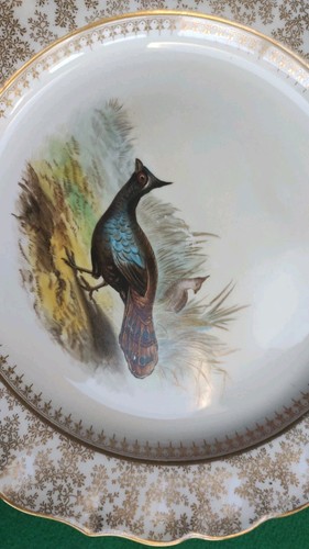 Antique Royal Worcester Vitreous Game Bird Plate Hand-Painted Gold Trim 9" See D - Picture 5 of 10