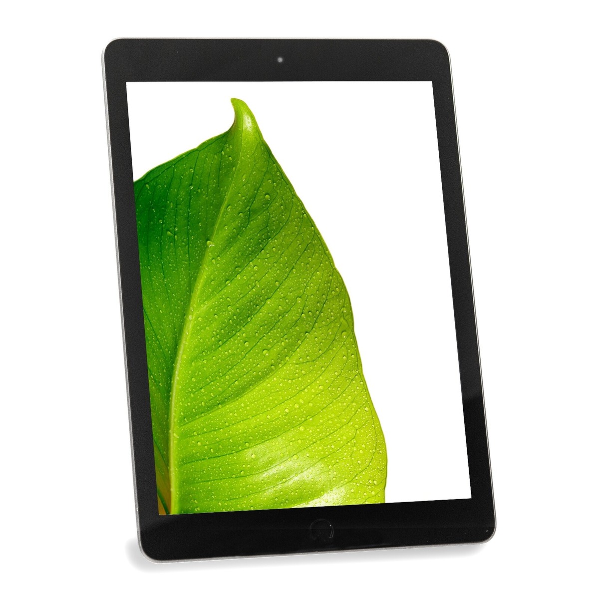 Apple iPad 5th Gen Space Gray 9.7