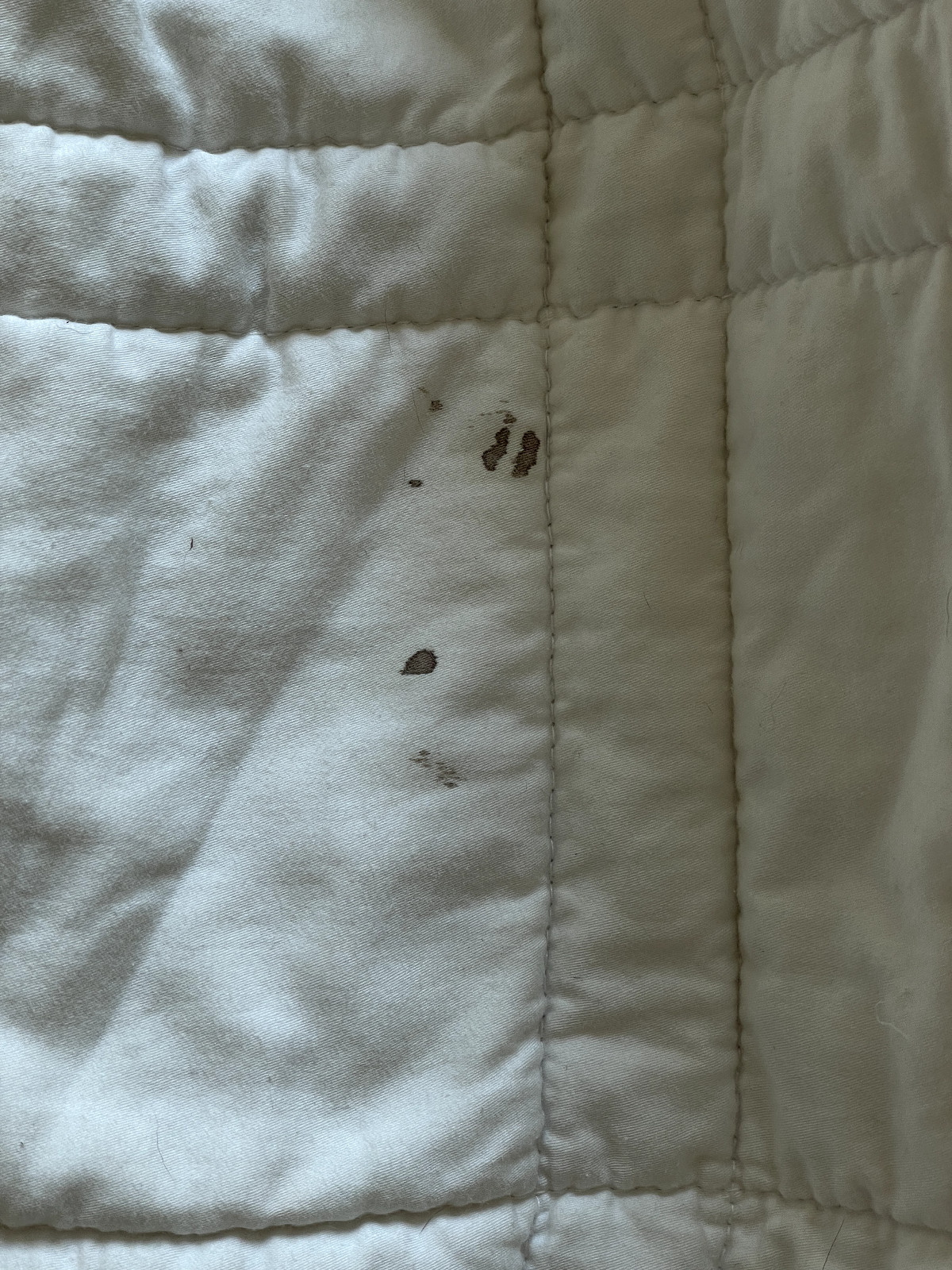 Baloo Weighted Blanket 15 lbs Cotton 60"x80" Queen Thư viện Quản trị