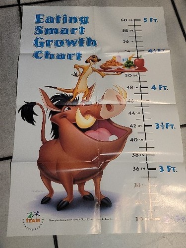 Vtg Timon And Pumbba Growth Chart Disney Lion King 90s Eating Height Tracker New