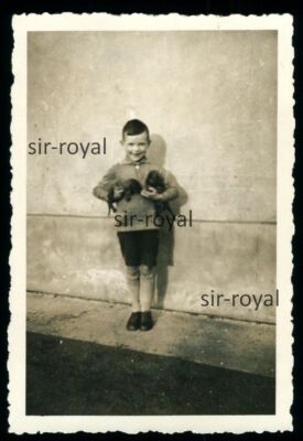 Boy with Dachshund Puppy - 1930s - Teckel Dachshund Dog - Photo 6x9cm