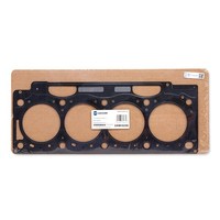 Kopfdichtung Renault Megane 1.9DCI 09-