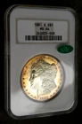 1881 S MORGAN SILVER DOLLAR ~ NGC MS64 ~ CAC ~ JUST EXQUISITE TWO-SIDED TONE