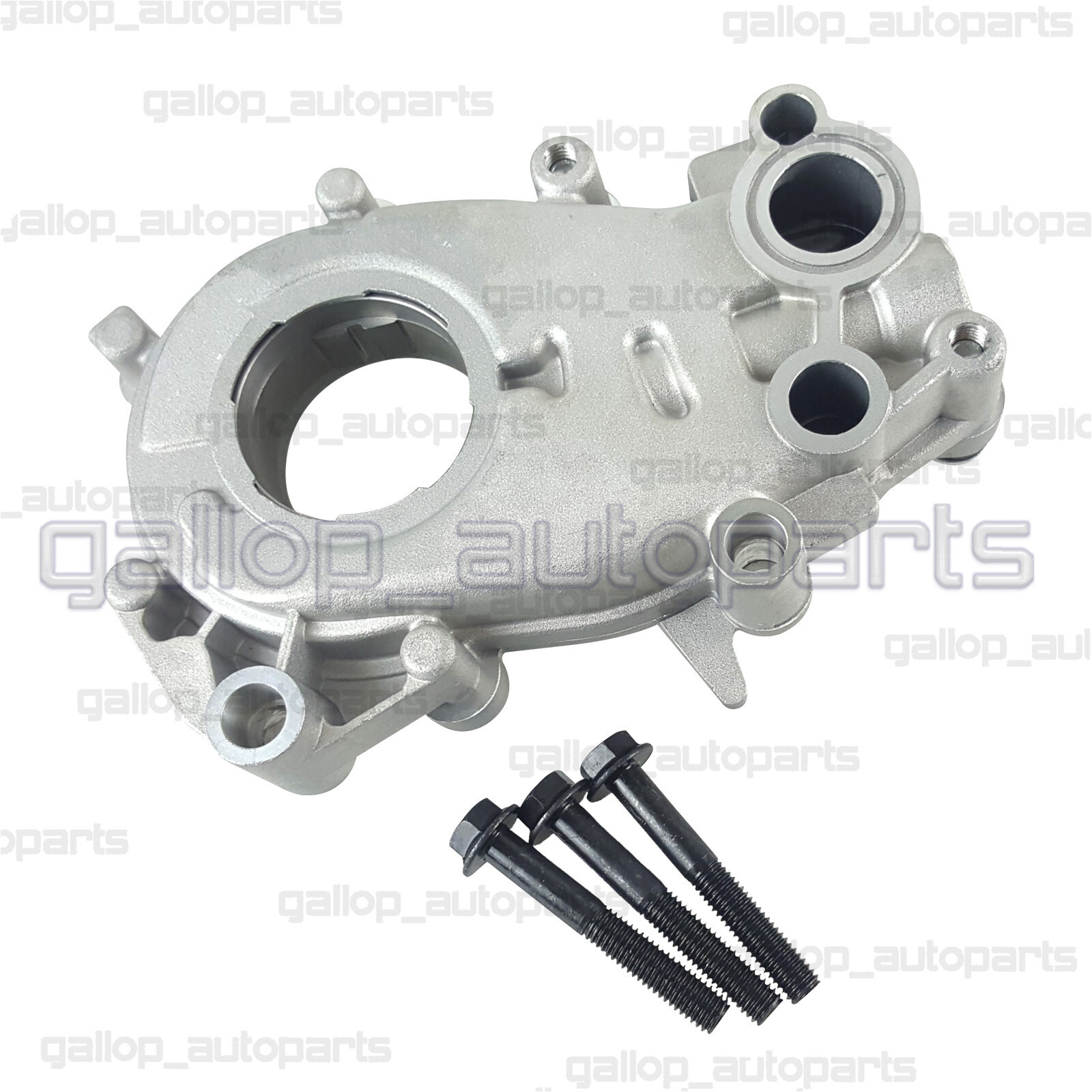 Oil Pump & Timing Chain & Gasket Kit for Holden Commodore VE VF V6 3.0L