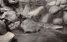 75 PARIS MUSEUM OUTRE MER