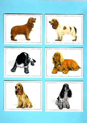 CIGARETTE/TRADE/CARDS. Imperial.DOGS.Cocker Spaniels.(Complete Set of 6).(1999). - Picture 1 of 1