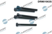 Dr. Motor Automobil DRM01063S Schraube, EinspritzdüSenhalter FüR VW