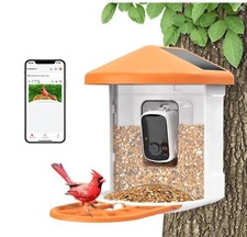 Smart Bird Feeder, Camera Solar Powered, HD Camera Auto Capture Bird