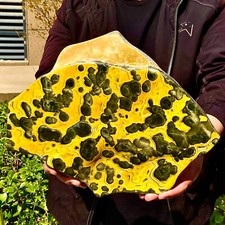 16.41LB Natural Bumblebee Jasper Quartz Crystal Disply Freeform Reiki Stone Heal