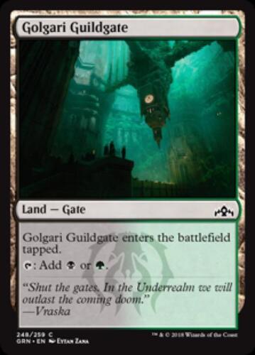 Golgari Guildgate (248) - Near Mint English MTG Guilds of Ravnica - Picture 1 of 1