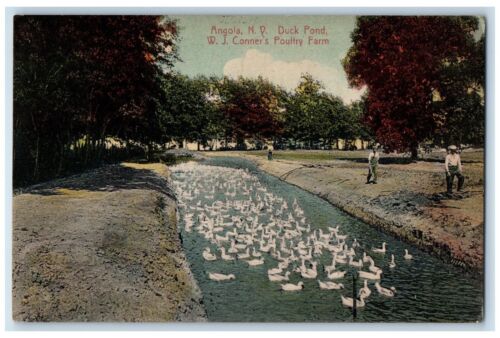 1911 Duck Pond Conner Poultry Farm Angola New York NY Vintage Antique Postcard - Picture 1 of 2