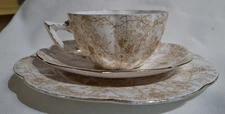 Wileman & Co Antique 1884/ 1895  Cup, Saucer, Side Plate Set