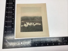 P-1 7 ART PAPER ETCHING PRINT PHOTOGRAVURE FLOCK TURKEYS FARM FENCE LANDSCAPE