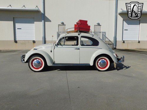 1966 Volkswagen Beetle - Classic - Picture 6 of 12