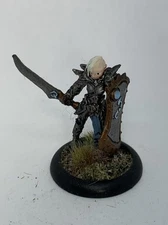 Virtuous Paladin Painted Miniature for D&D or Pathfinder Fantasy RPG