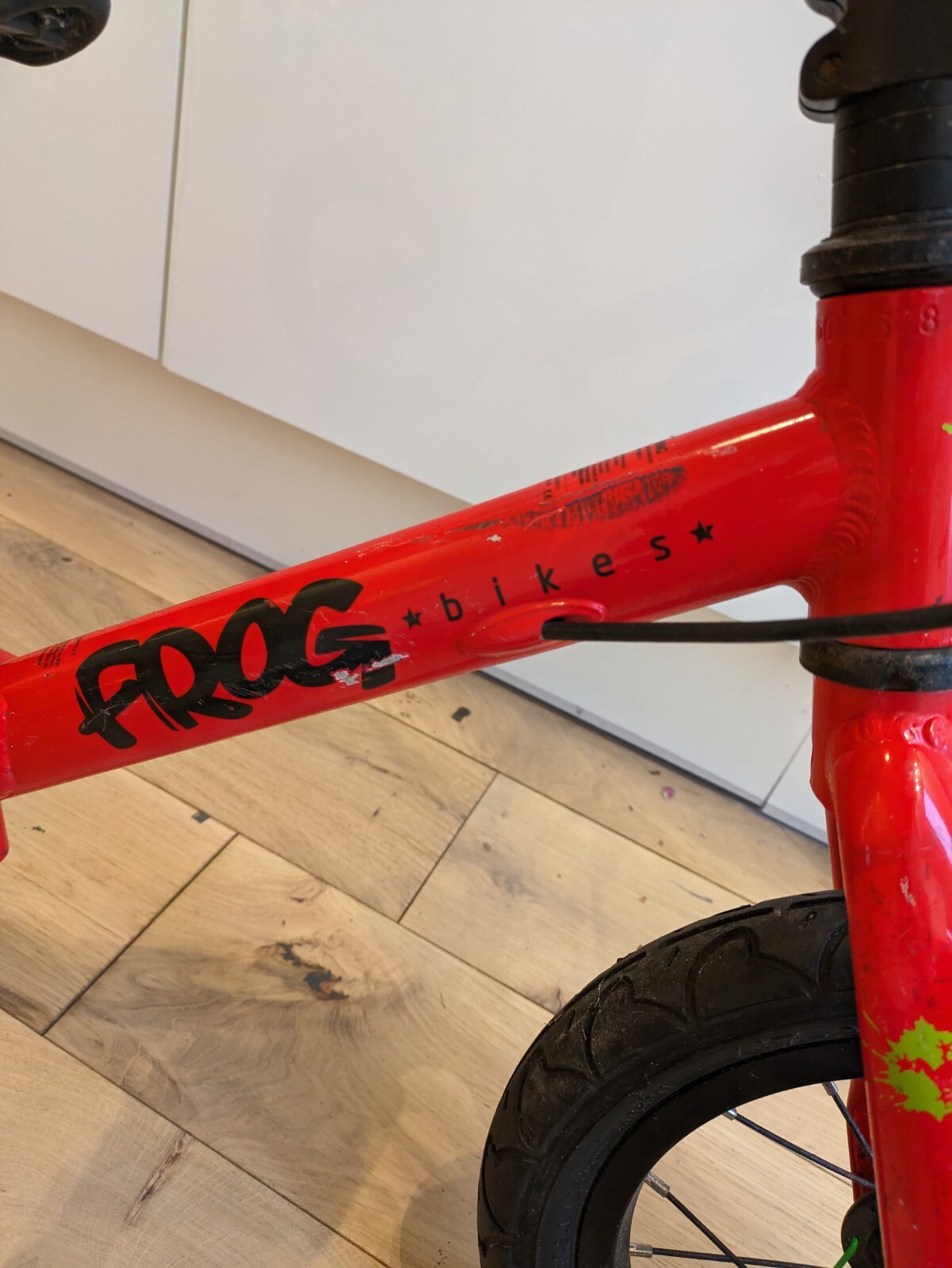 Frog Tadpole Balance Bike eBay