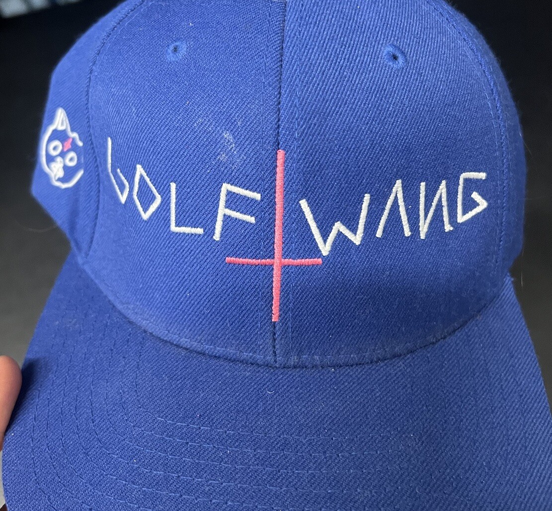 RARE Golf Wang Odd Future Box Cutter Blue Snapback Tyler the Creator Earl image 3
