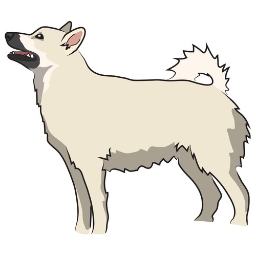 Norwegian Buhund Dog Decal Dog Lover Decor Vinyl Sticker