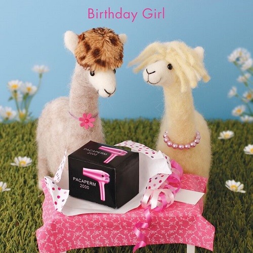 Cute Whimiscal Whimsical Card Alpaca giraffe birthday or engagement - Picture 2 of 9