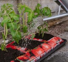 2 X Big Tom Super Tomato Planter Large 55L NOW BACK IN STOCK