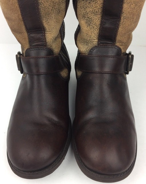 UGG Chancery Boots Women's Stout Brown Leather Sheepskin Wool Riding Tall Sz 6 | eBay