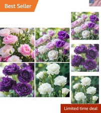 Vibrant 300 Mixed Lisianthus Flower Seeds - Attract Pollinators Beautify G...