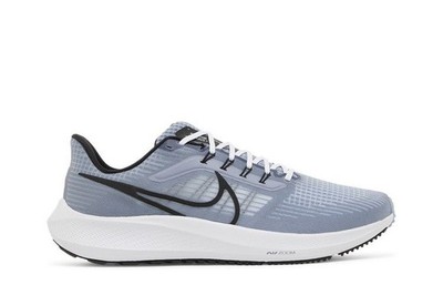 Nike Air Zoom Pegasus 39 Ashen Slate (DH4071 401)