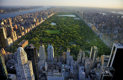 Fototapete VLIES-NEW YORK-(040S)-Manhattan Brooklyn Central Park Skyline Stadt