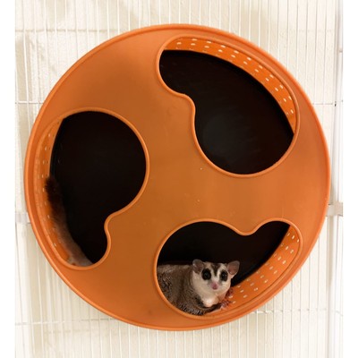 Exotic Nutrition Silent Runner 12