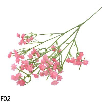 65Pcs Mini Pink Dried Baby's Breath Flowers, 4000+ Natural Gypsophila, Dry  Flowers Bulk for Vase Resin Nails, Art Crafts DIY Pressed Flower Making