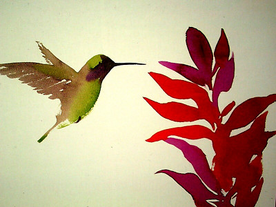 Papyrus 20 Blank Note Cards Hummingbird Lined Envelopes Gold Seals Keepsake Box