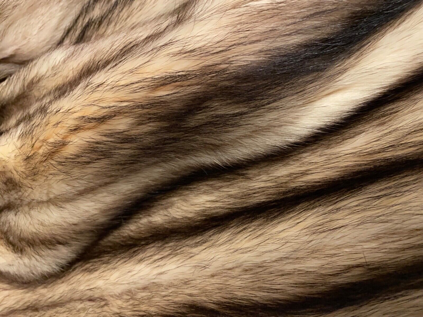 Vintage Genuine Full Length FITCH Mink Fur Coat J… - image 12