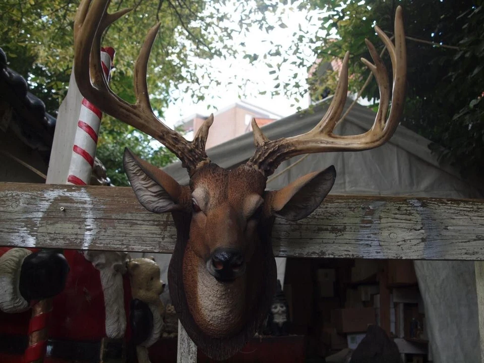 Hirsch Kopf Deko Figur 50cmx60cm  lebensecht Wand Deko Gartenfigur  NEU - Bild 3 von 4