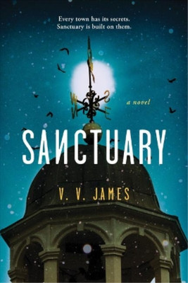 V. V. James Sanctuary (Taschenbuch)