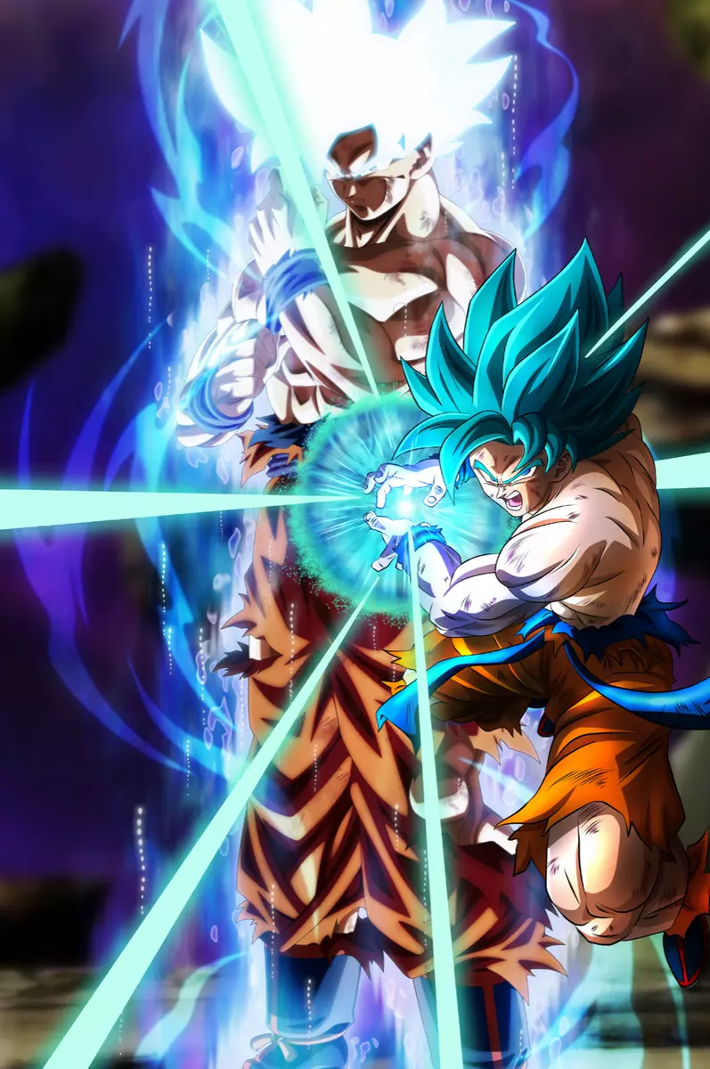 Dragon Ball Z/Super Poster Goku from SSJ to Ultra 12in x 18in Free