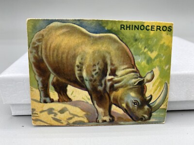Jungle Chewing Gum card #17 Rhinoceros, World Wide Gum Company