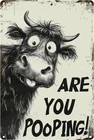 Funny Highland Cow Are You Pooping? Tin Metal Signs Home Décor 8x12 Vintage Wall