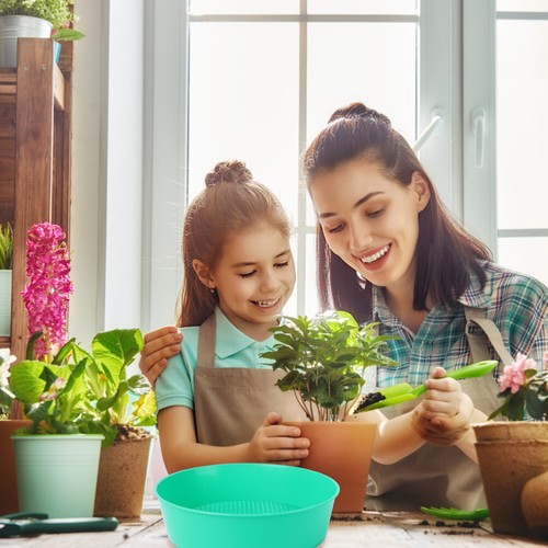 Jardinage Maille Écran Tamis Plastique Tamis Passoire Sol pour Petites offres Pierres US